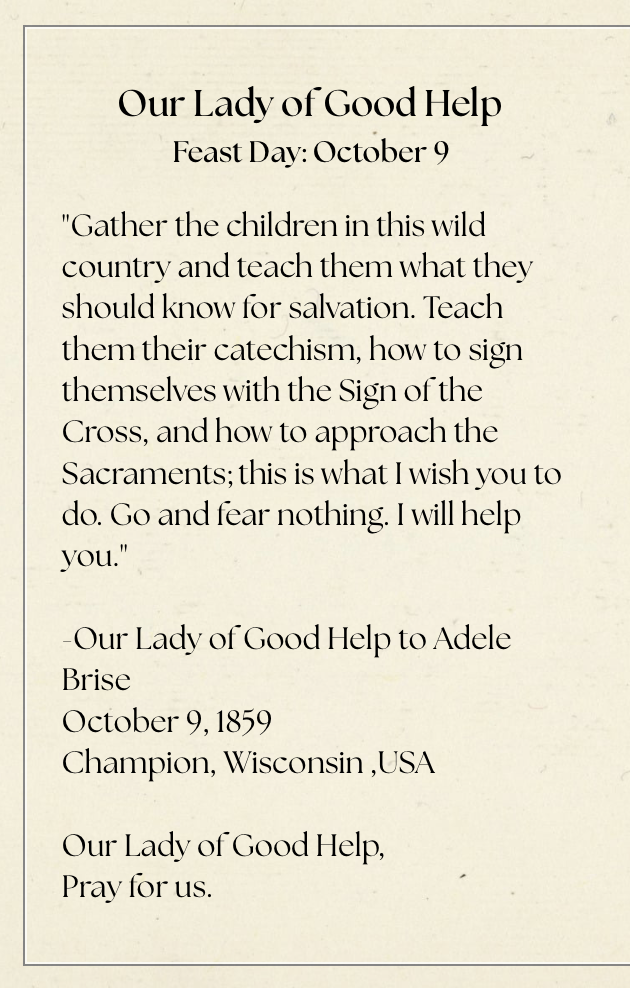 Catholic Prayer Card Set of 7 | Marian Devotional |Popular Mary Titles